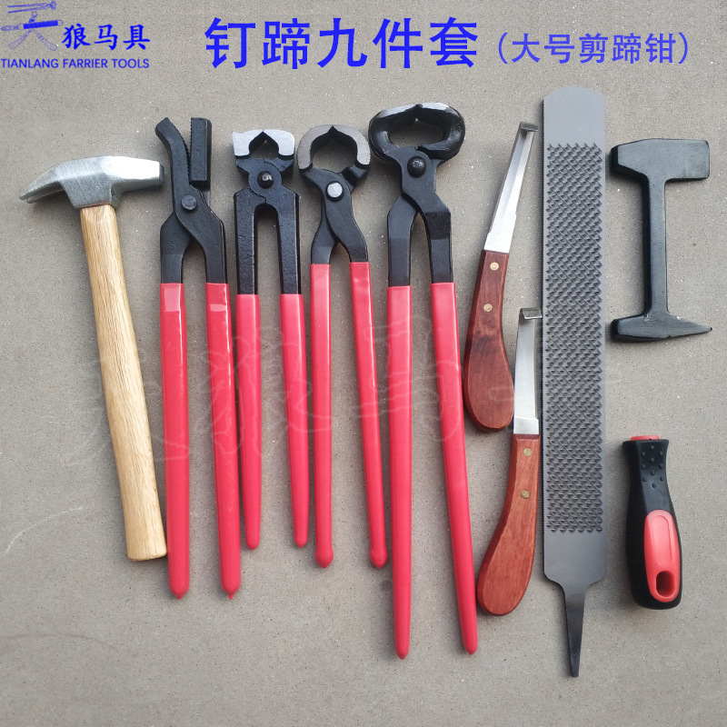 Hoof Trimming Farrier Tool Set with Clincher Rasp