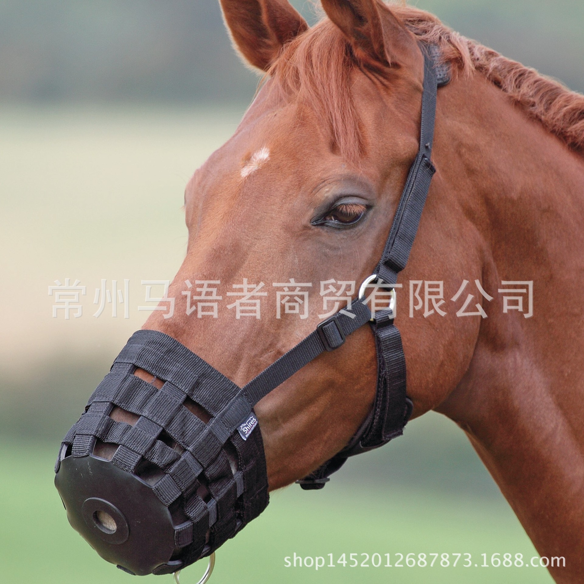 PP Webbing Horse Halter with Muzzle