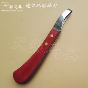 High Quality Loop Hoof Knife Stainless Steel