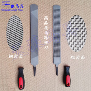 T12 Steel Hoof Rasp 14 Inch Farrier Tool