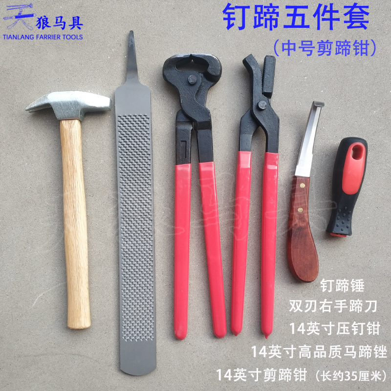 Farrier Tool Set 5 Pieces Hoof Nipper Rasp Knife