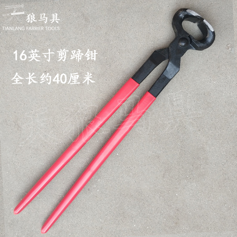 Hoof Trimming Farrier Tool Set with Clincher Rasp
