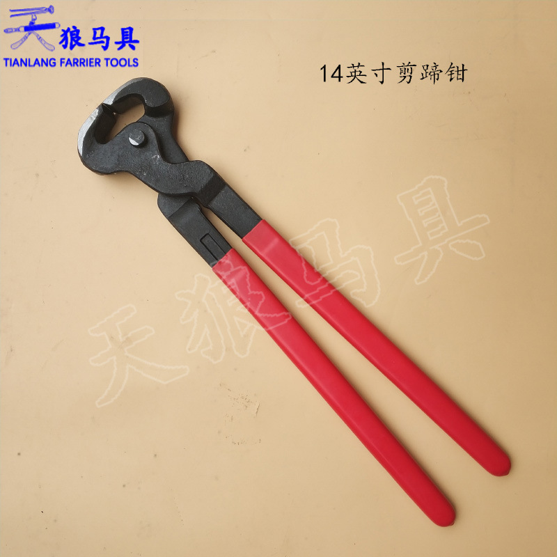 Farrier Tool Set 5 Pieces Hoof Nipper Rasp Knife
