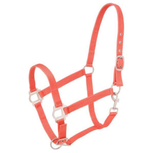 Nylon Webbing Horse Halter Adjustable Durable Equestrian