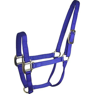 PP Webbing Horse Halter Adjustable Equestrian