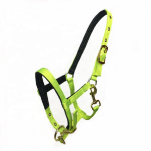 Nylon Webbing Horse Halter Adjustable Equestrian