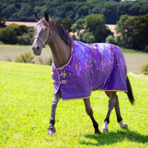 Oxford Fabric Waterproof Winter Horse Blanket With Neck Cover