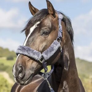 Equestrian Adjustable Fleece Horse Halter Durable