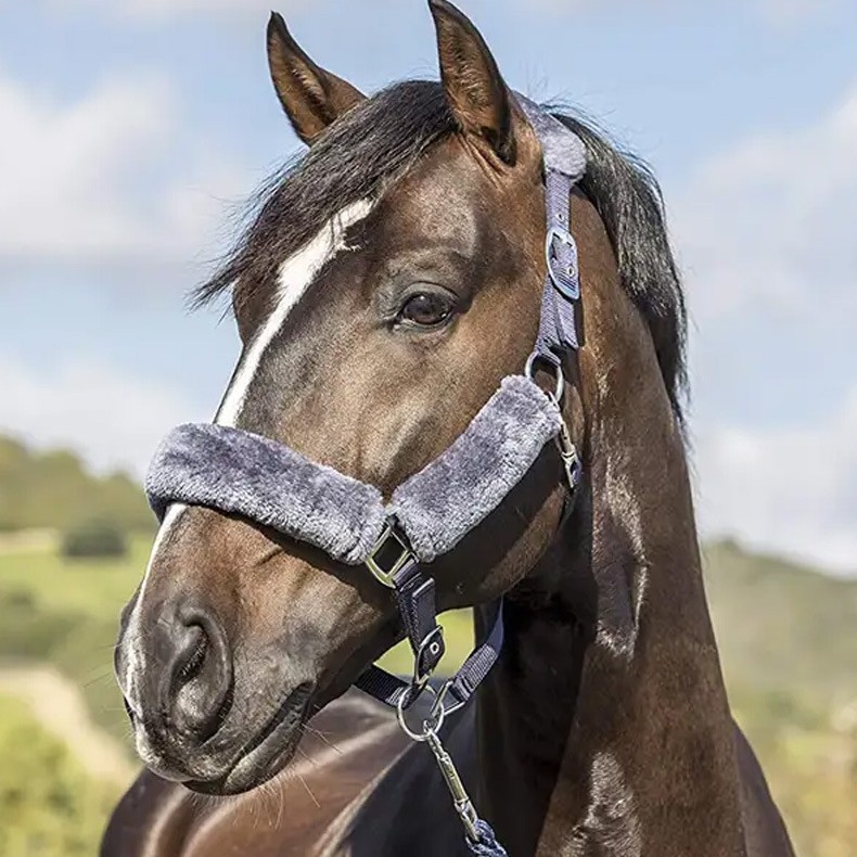 Equestrian Adjustable Fleece Horse Halter Durable
