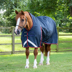 Oxford Cloth Horse Rug Waterproof Winter Horse Blanket with Neck Cover