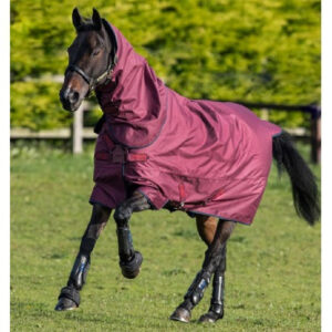 Waterproof Windproof 1200D Oxford Cloth 210T Lining Horse Rug Tear Resistant Equestrian