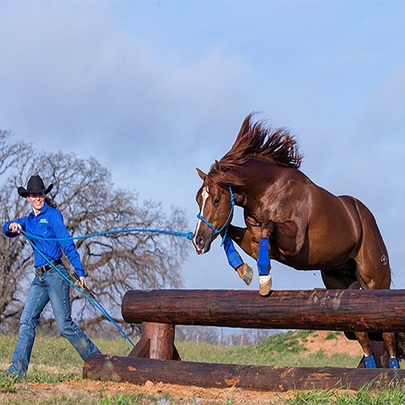 9mm Neoprene Horse Leg Protection Boots