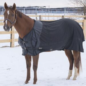Thin Single Layer Horse Rug Sun Protection Sweat Absorbent Breathable