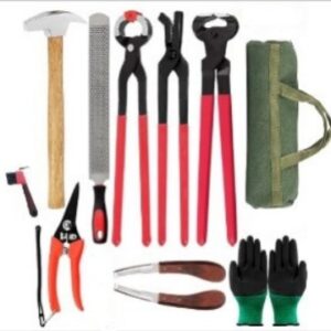 10-Piece Farrier Hoof Trimming Tool Set