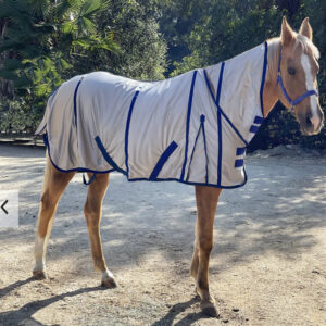Summer Mesh Horse Rug Breathable Sun Protection Thin Single Layer