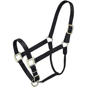 PP Webbing Horse Halter Adjustable Equestrian