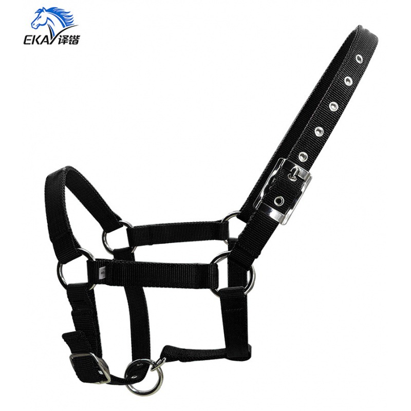 25mm Thickened PP Webbing Horse Halter with Silver Buckles and Eyelets LT2001