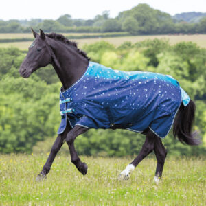 Indoor Outdoor Waterproof Warm Horse Blanket Custom Equestrian Gear