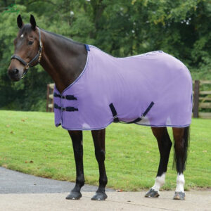 Lightweight Single Layer Horse Rug Sun Protection Sweat Absorbent Breathable Summer Anti-Mosquito Mesh No-Neck