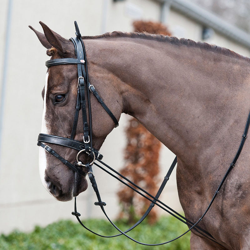 Multi-Purpose Elastic Horse Training Rope Equestrian Tack