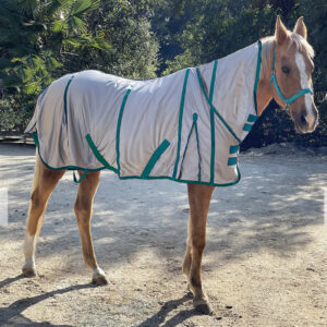 Thin Single Layer Horse Rug Sunscreen Sweat Absorbent Breathable Anti Mosquito Mesh Summer With Neck