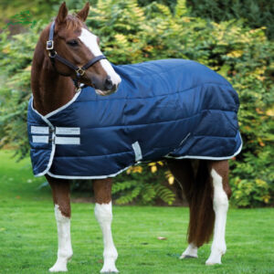Oxford Cloth Horse Blanket Warm Cotton-Padded Comfortable Skin-Friendly Lining Horse Rug