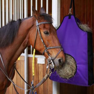 Horse Hay Bag Slow Feed Hay Bag for Horses Cattle Sheep Convenient Stable Bag