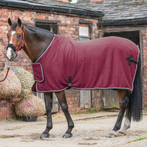 Hot Sale Summer Fleece Horse Rug Soft Lightweight Breathable Anti-Mosquito Blanket
