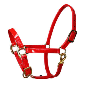 Microfiber Leather Horse Halter Waterproof Easy Clean Golden Buckles 20mm LT4009