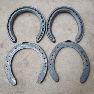 PC Horseshoe Set Of Four For Training