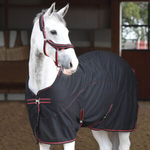 Thin Single-Layer Oxford Mesh Breathable Horse Blanket