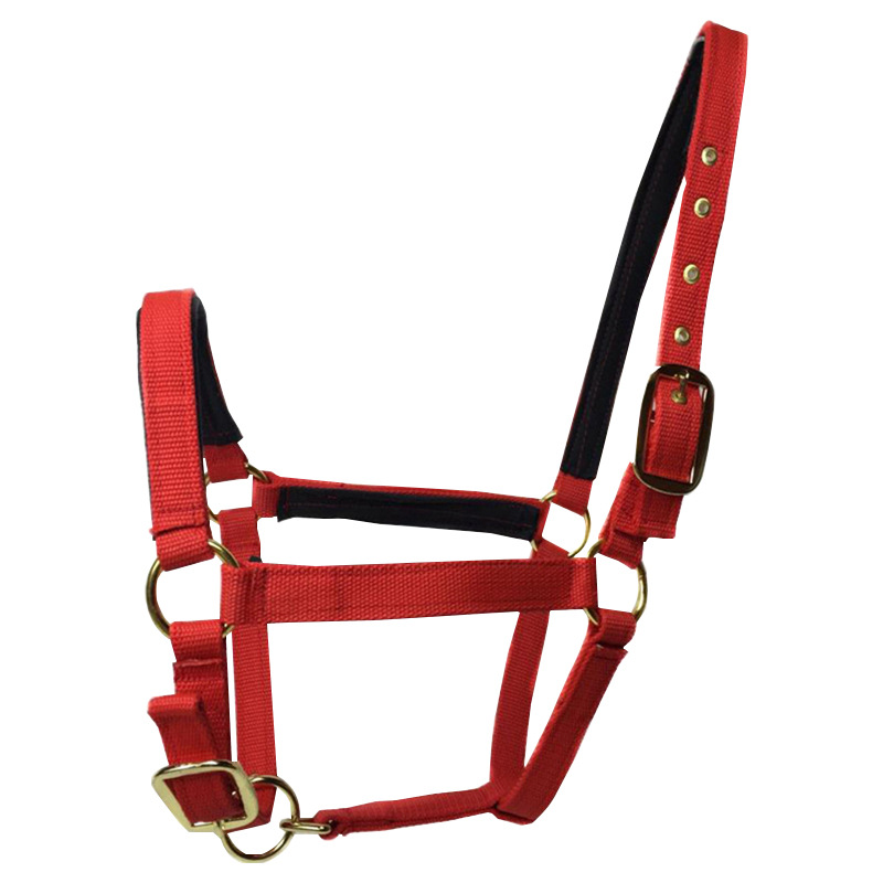 Nylon Horse Halter Adjustable Durable Professional Equestrian