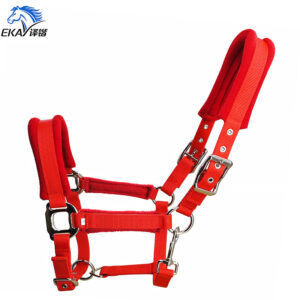 25mm Wide PP Webbing Horse Halter with Sponge Pad Alloy Metal Fittings LT2010