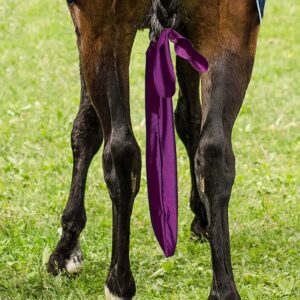 Horse Tail Bag Lycra Comfortable Breathable