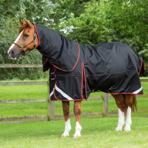 Oxford Waterproof Outdoor Horse Blanket with Neck Cover