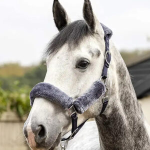 Soft Fleece Horse Halter Equestrian Tack Wholesale