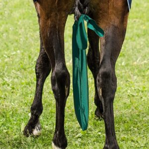 Lycra Horse Tail Bag Elastic Protector Equestrian