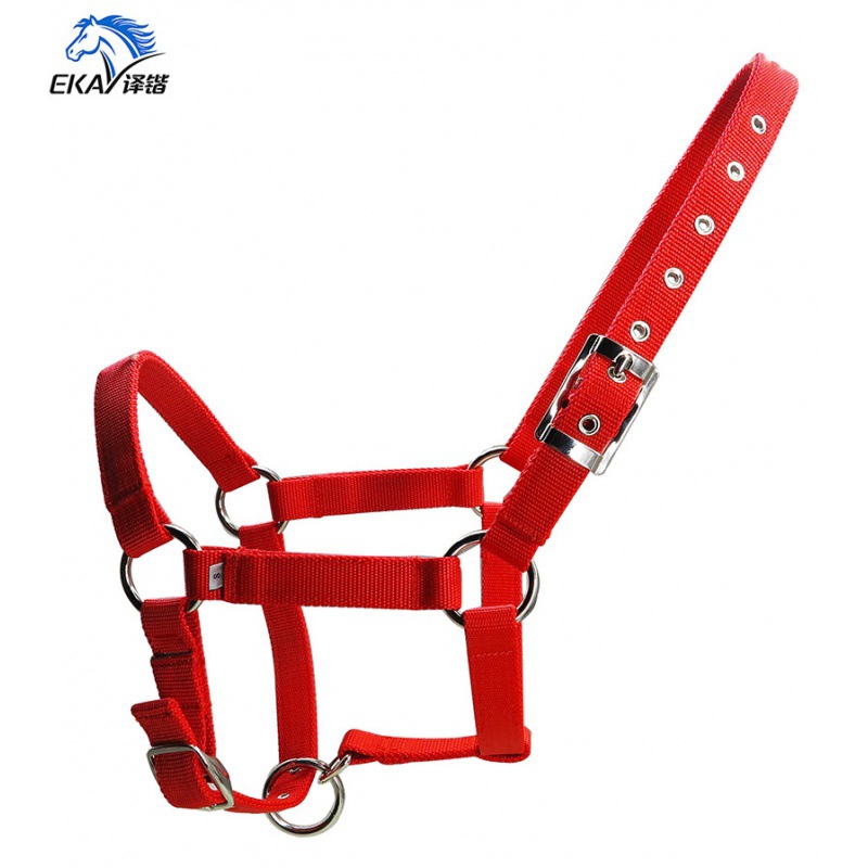 25mm Thickened PP Webbing Horse Halter with Silver Buckles and Eyelets LT2001