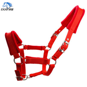25mm PP Webbing Horse Halter with Sponge Fleece Padding and Eyelets LT2000