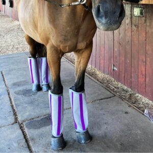 Breathable Mesh Horse Leg Guards PVC Anti-Mosquito Insect Mesh Leg Covers