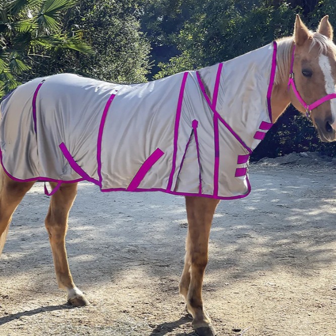 Lightweight Single-Layer Mesh Horse Blanket With Neck