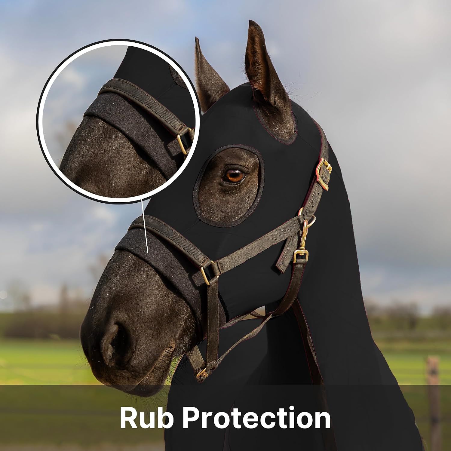 Lycra Stretch Full Body Horse Cover Breathable Fly Sheet