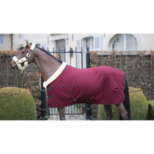 Cotton Twill Thick Winter Horse Blanket With Diamond Quilting