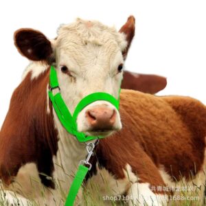Adjustable Horse Halter with Nylon Lead Rope