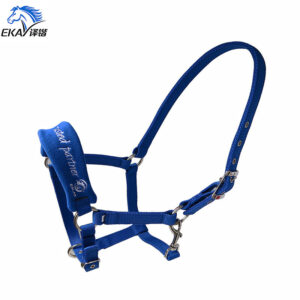 25mm PP Webbing Horse Halter with Metal Eyelets and Embroidered Logo LT2012