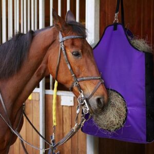 Hanging Multi-Hole Hay Net Feeder Bag For Horses