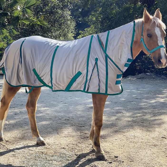 Lightweight Single-Layer Mesh Horse Blanket With Neck